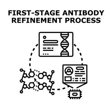 Antibody refinement process through genetic engineering analysis Stock Illustration
