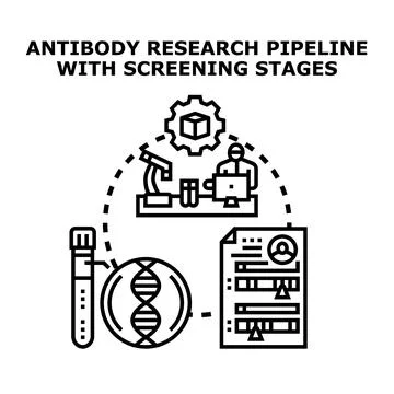 Antibody research pipeline developing screening stages process Stock Illustration