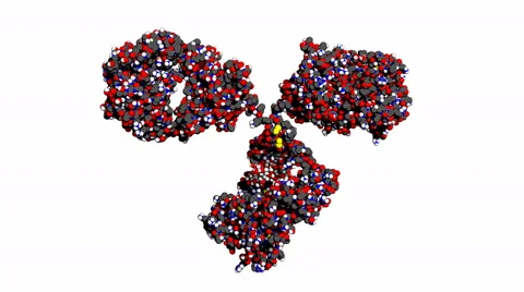 Antibody, rotating model 스톡 동영상 51164957