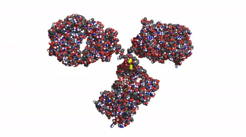 Antibody, rotating model Stock Footage 51164989