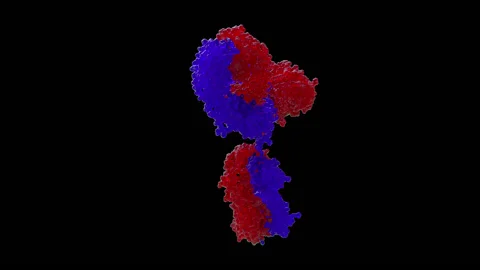 Antibody Rotating Molecular - Loop With Transparent Background (Alpha) Stock Footage 136027201