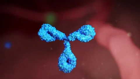 Antibody targeting a tumor cell, closeup view. 스톡 동영상 345101459