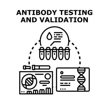 Antibody testing and validation process in immunology research Stock Illustration