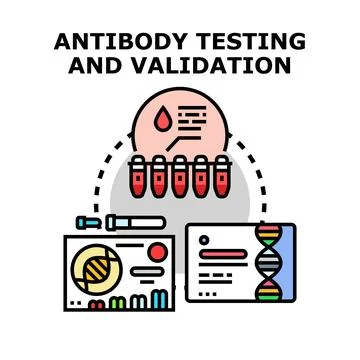 Antibody testing and validation process in immunology research Illustrazione stock