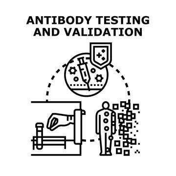 Antibody testing validation for infection immunity concept Stock Illustration