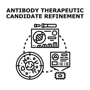 Antibody therapeutic candidate refinement process diagram Stock Illustration