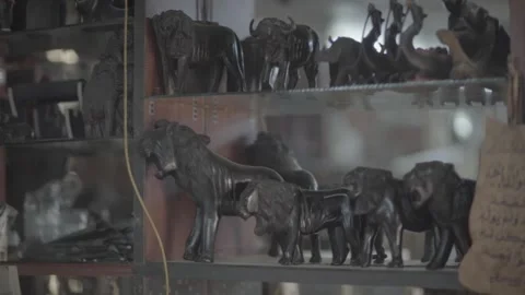 Antica in Sudan Stock-Footage 247518198