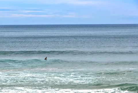 Anticipating the waves Stock Photos