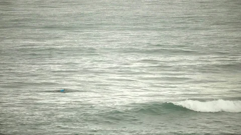 In anticipation of its waves Stock Footage 34917151