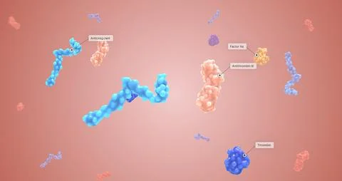 Anticoagulants work to slow down the body's process of making clots. Stock Illustration