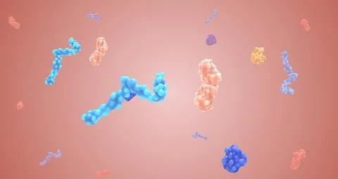 Anticoagulants work to slow down the body's process of making clots. Stock Illustration