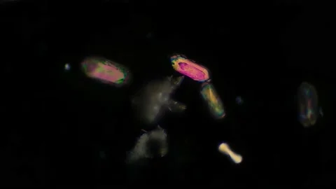 Antifreeze toxicity crystals Stock Footage 238366018