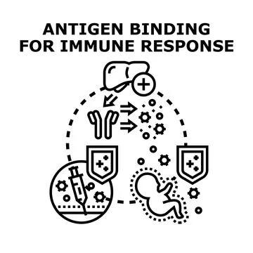 Antigen binding creating immune response and protection Illustrazione stock