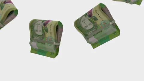 Antigua &amp; Barbuda 5 Dollars Dollars Stock Footage 345879137
