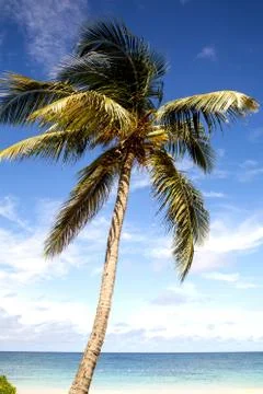 Antigua Stock Photos