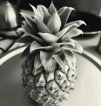 Antigua Pineapple Stock Photos
