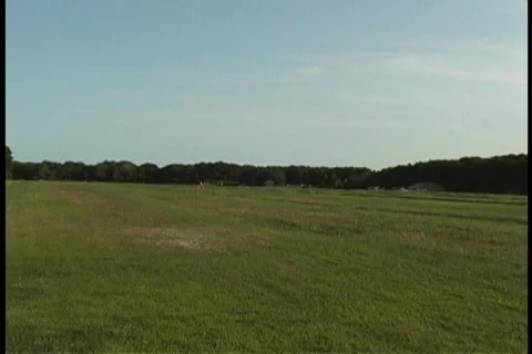 Antique Airplanes Stock Footage 98218