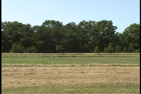 Antique Airplanes Stock Footage 101020