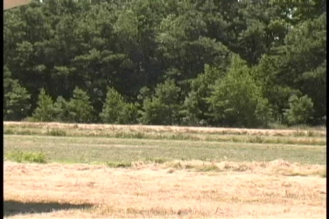 Antique Airplanes Stock Footage 101035