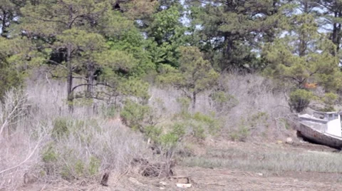 Antique Boats Video stock 7769409