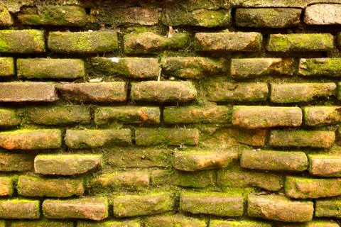 Antique brick texture Stock Photos