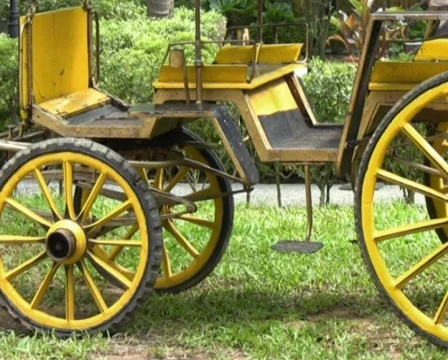 Antique Carriage Stock Footage 604872