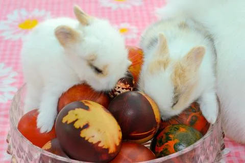 Antique colored Easter eggs bellow cute baby bunnies Stock Photos