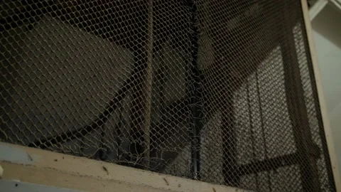 Antique elevator moves downward in shaft with metal cage and torn mesh Stock Footage 167676036