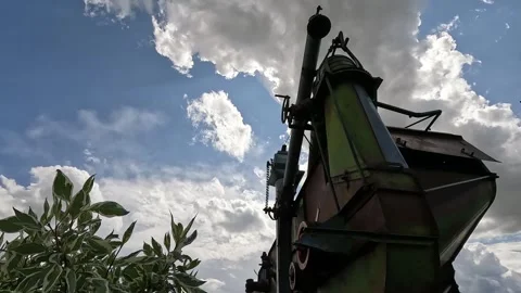 Antique Farm Implement 스톡 동영상 249858130