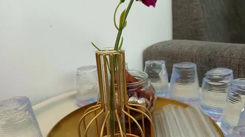 Antique Stock Footage 300653092