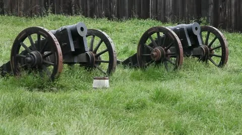 Antique guns Stock Footage 11142421