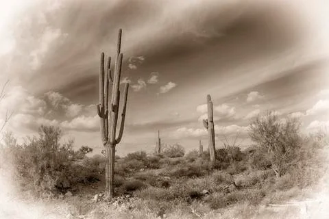 Antique image of the desert Stock Photos