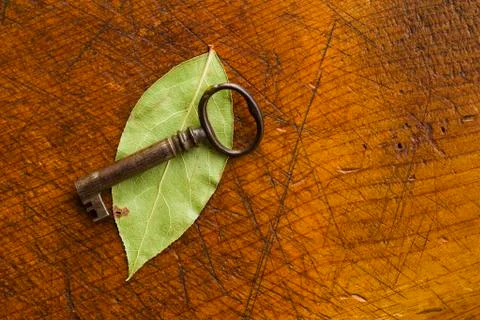 Antique key with leaf 写真素材