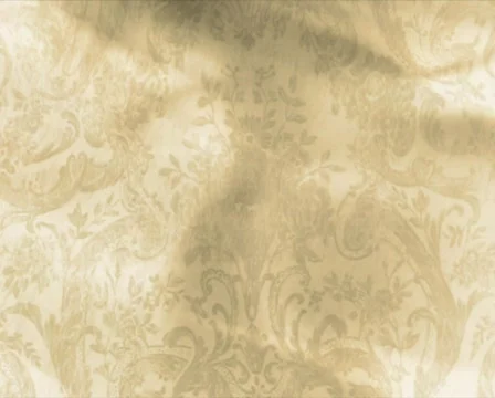 Antique lace background p 스톡 동영상 606507