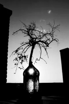 Antique lantern and leafless tree Stock Photos