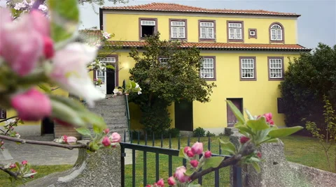 Antique manor house with a tree to deflower Stock Footage 62470693