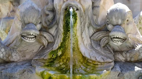 Antique marble fountain with monster heads in Rome near Pantheon front view Stock Footage