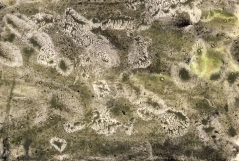 Antique paper Stock Illustration