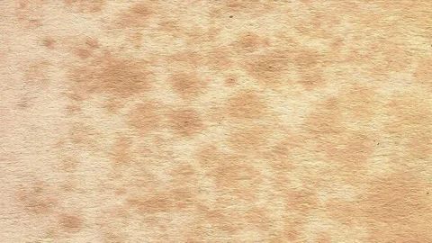 Antique paper texture with lots of foxing stains depicted vertically Stock Footage 333796558