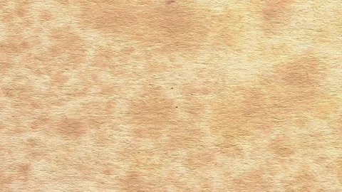 Antique paper texture with lots of foxing stains depicted horizontally Stock Footage 333796564