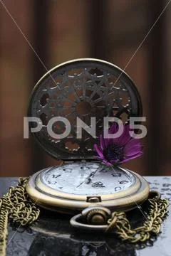 An antique pocket watch Stock Photos