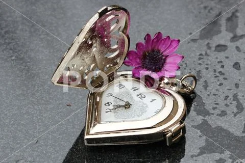 An antique pocket watch Stock Photos