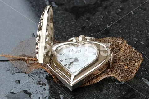 An antique pocket watch Stock Photos