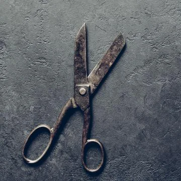 Antique rusty tailor scissors close-up on gray textured background, stylized Stock Photos