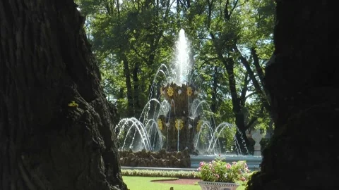 Antique statues on the paths of the Summer Garden on a sunny summer day. Stock Footage 340529757