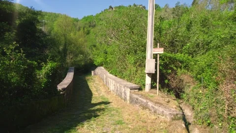 Antique stone bridge over a river in the forest Stock Footage 272752582