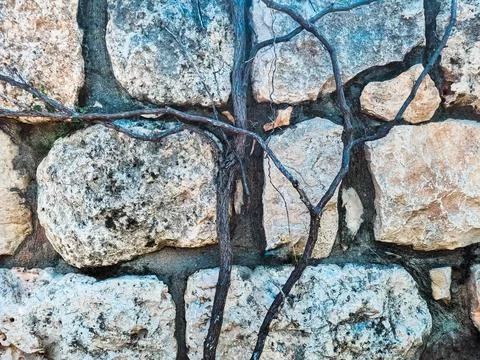 Antique Stone Wall Texture Background Stock Photos