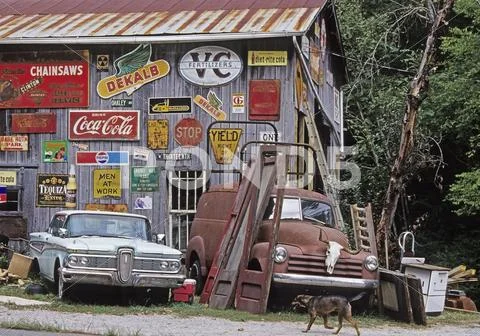 Antique Store, South Tennessee, Usa