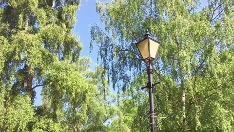 Antique  street light Stock-Footage 72373781