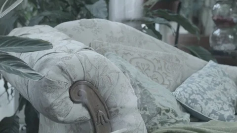 Antique stylish sofa surrounded by plants Stockbeeldmateriaal 71242100